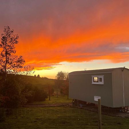 The Buteland Stop Rosie Off Grid Shepherds Hut Белингъм Екстериор снимка