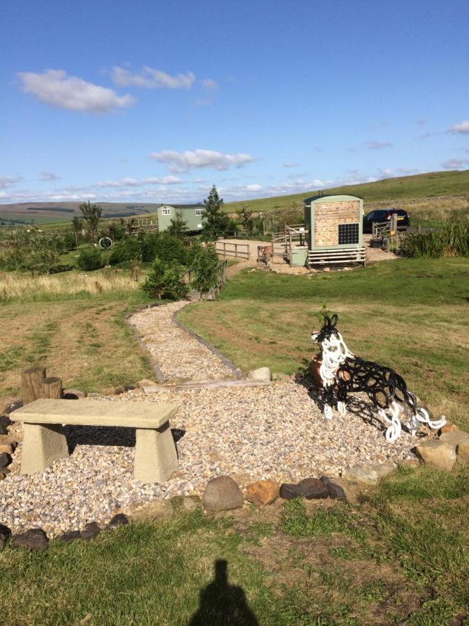The Buteland Stop Rosie Off Grid Shepherds Hut Белингъм Екстериор снимка