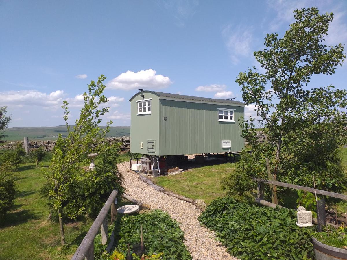 The Buteland Stop Rosie Off Grid Shepherds Hut Белингъм Екстериор снимка