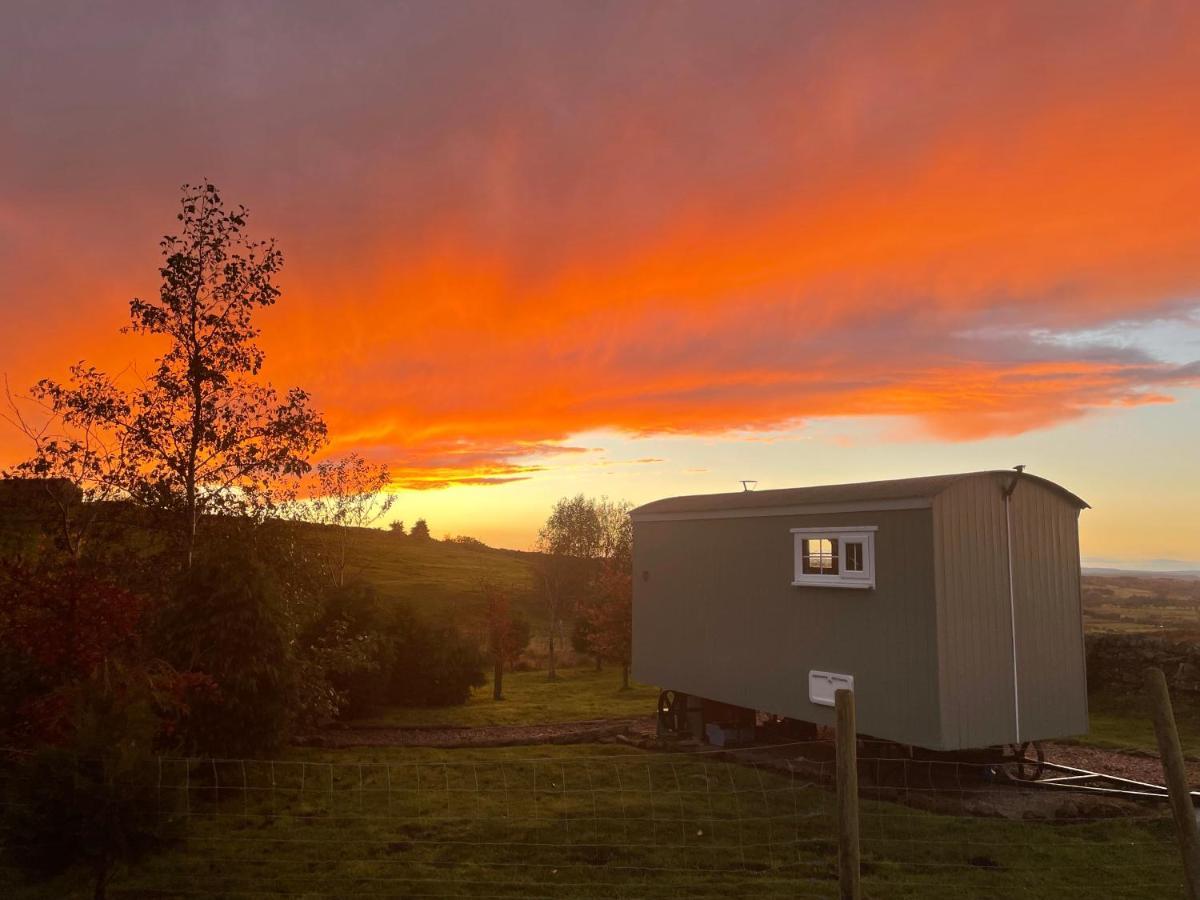 The Buteland Stop Rosie Off Grid Shepherds Hut Белингъм Екстериор снимка