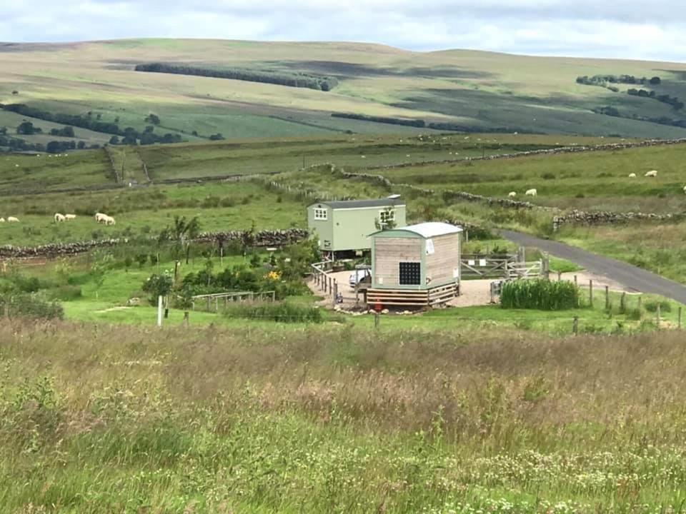 The Buteland Stop Rosie Off Grid Shepherds Hut Белингъм Екстериор снимка