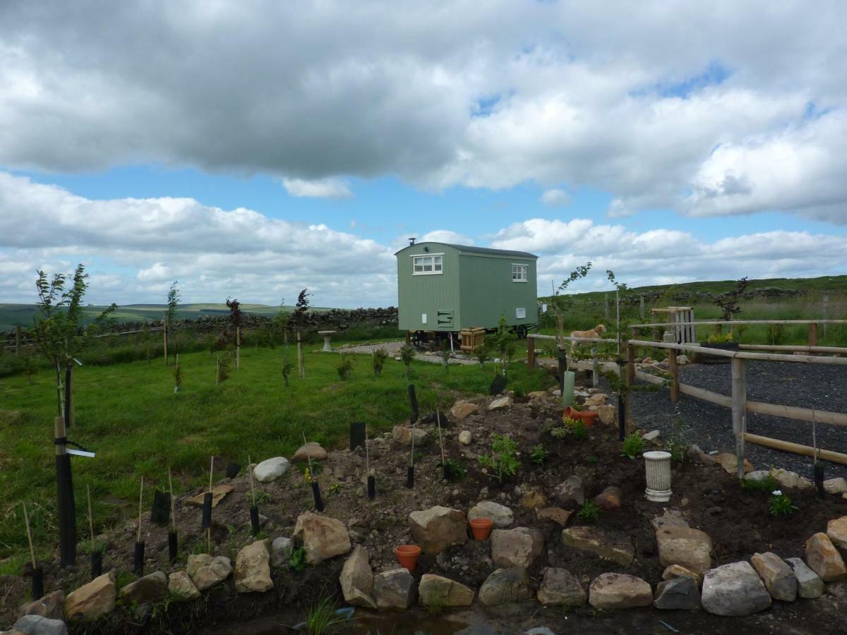 The Buteland Stop Rosie Off Grid Shepherds Hut Белингъм Екстериор снимка