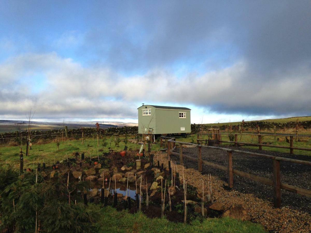 The Buteland Stop Rosie Off Grid Shepherds Hut Белингъм Екстериор снимка