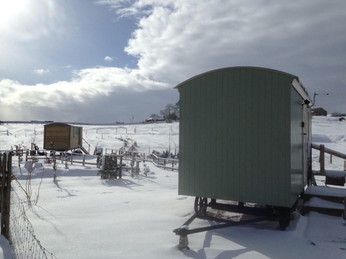 The Buteland Stop Rosie Off Grid Shepherds Hut Белингъм Екстериор снимка
