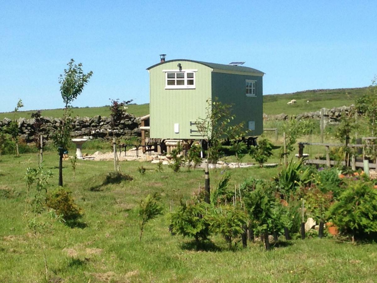 The Buteland Stop Rosie Off Grid Shepherds Hut Белингъм Екстериор снимка