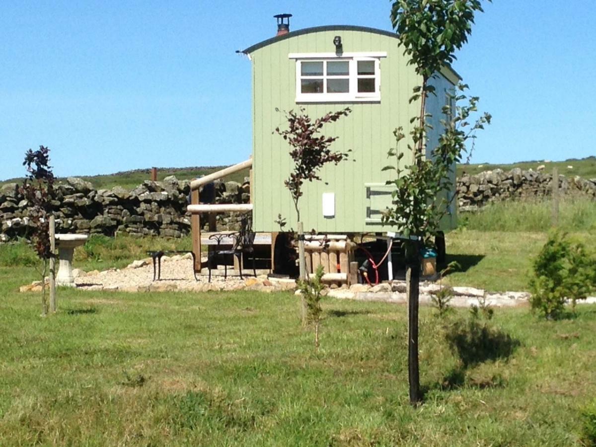 The Buteland Stop Rosie Off Grid Shepherds Hut Белингъм Екстериор снимка